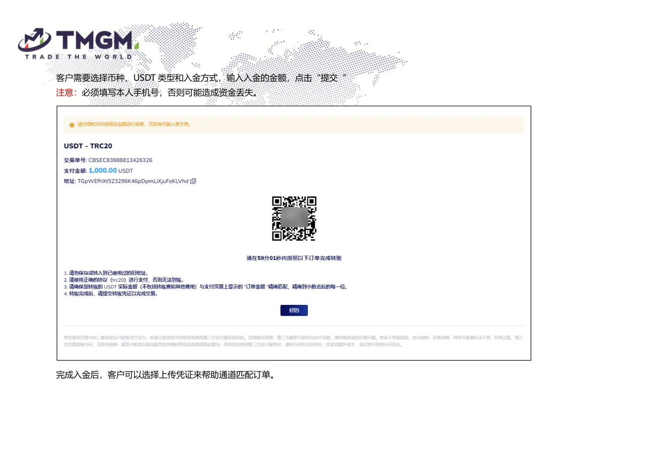 USDT 入金填写币种、类型和金额操作界面